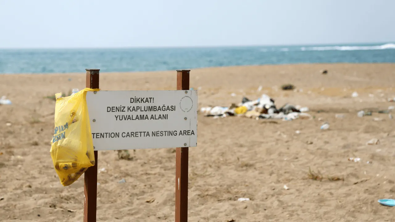 GM Tourism