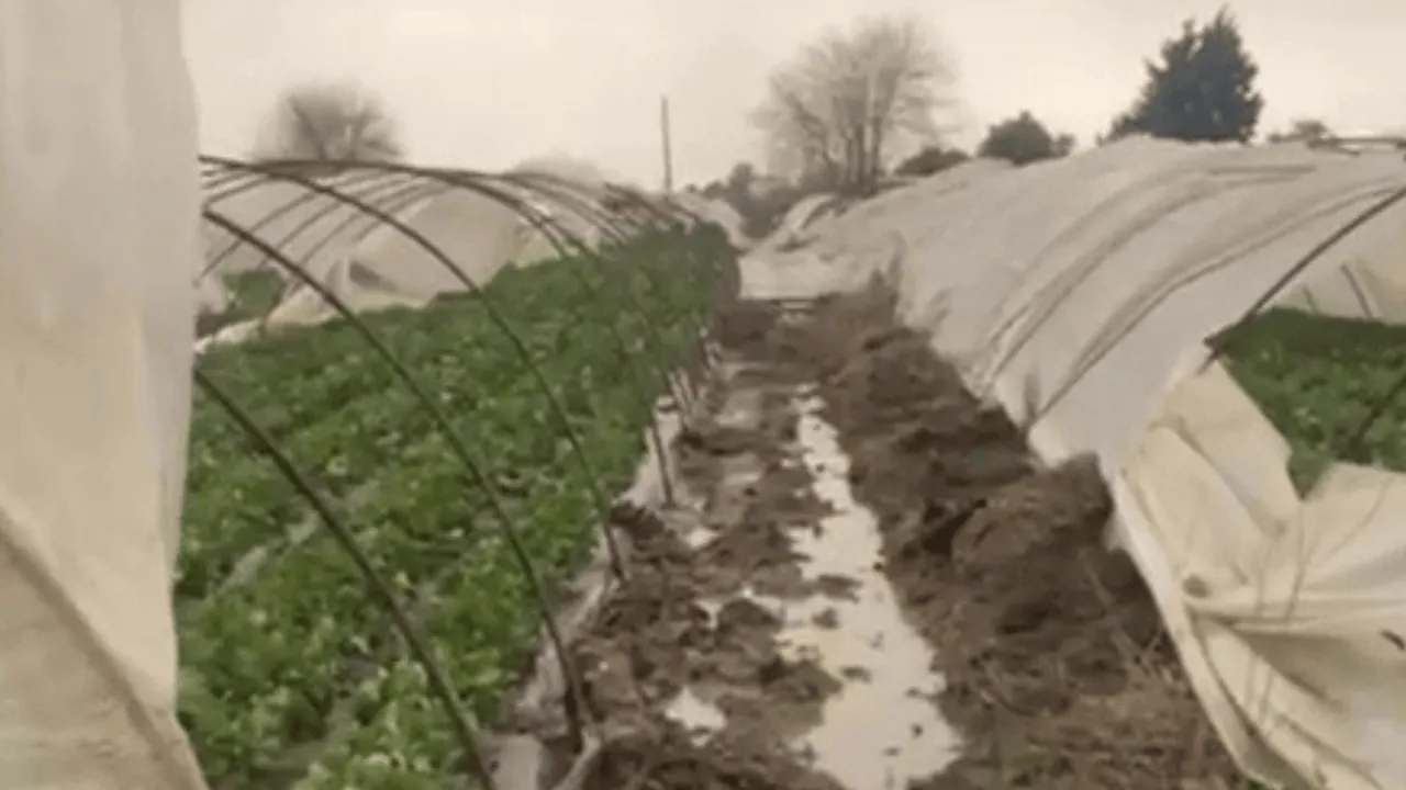 ŞİDDETLİ FIRTINA VE HORTUM ANTALYA’DA HAYATI FELÇ ETTİ