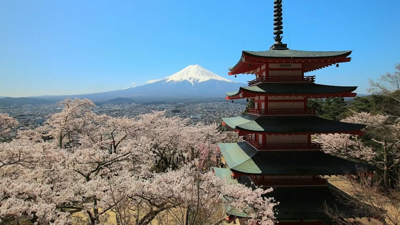 KİRAZ ÇİÇEĞİ FESTİVALİ AŞIRI TURİST NEDENİYLE İPTAL EDİLDİ