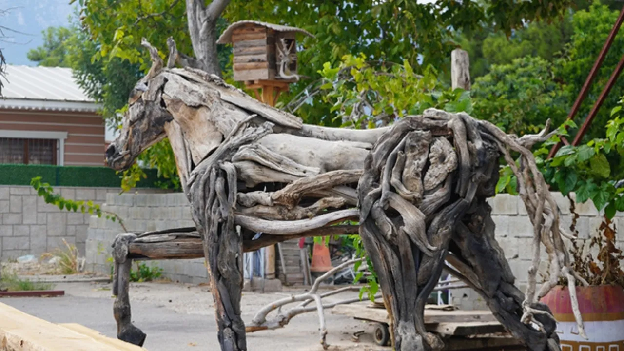 DOĞANIN ATIKLARINI SANATA DÖNÜŞTÜRÜYOR