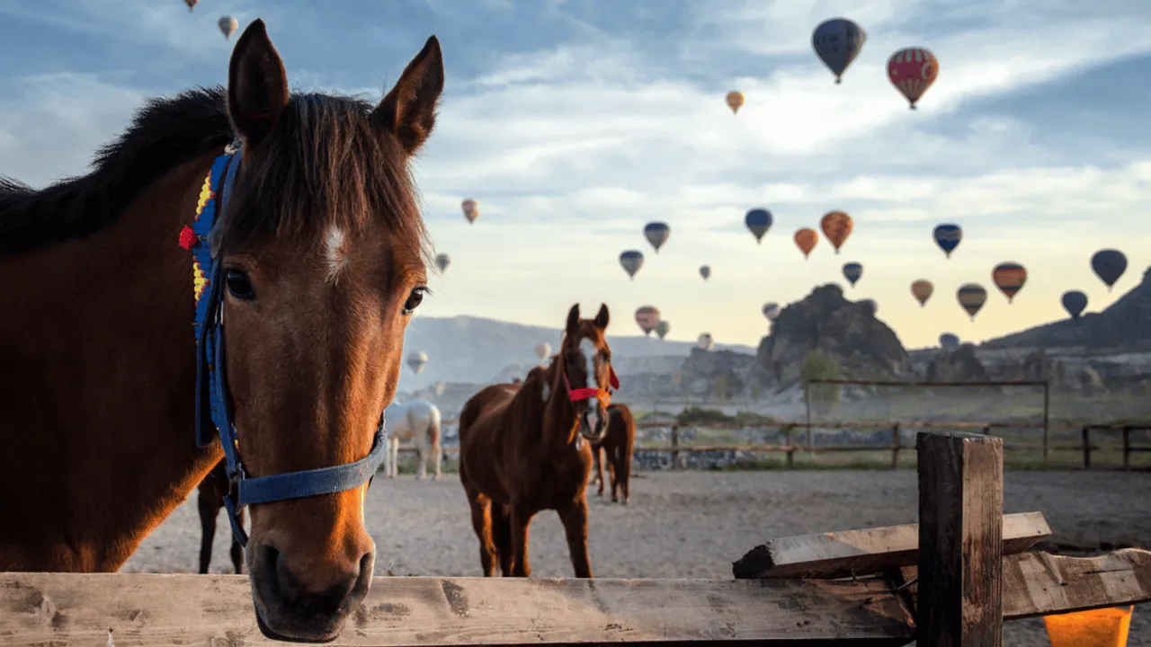 ÇİN’İN ‘AT YILI’ KUTLAMALARI KAPADOKYA’DA