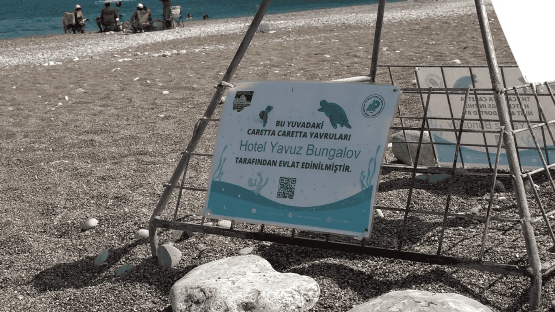 OTELLER, CARETTA CARETTALARI SAHİPLENDİ